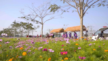 百花爭(zhēng)春！2023廣東省森林文化周春季活動(dòng)正式啟動(dòng)——邀你共赴一場(chǎng)森林里的休閑觀光之旅